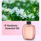 🔥🌷2026 Hot Sale - 50% OFF – ONLY ￡19.99!!⚡50K+ SOLD💕Automatic Fragrance Spray for Home🌺🎁Gift Idea