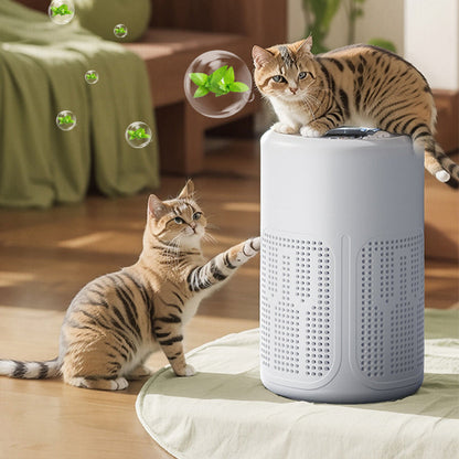 💐50% OFF! Silent Air Purifier – Peaceful sleep, no noise 🔇😴